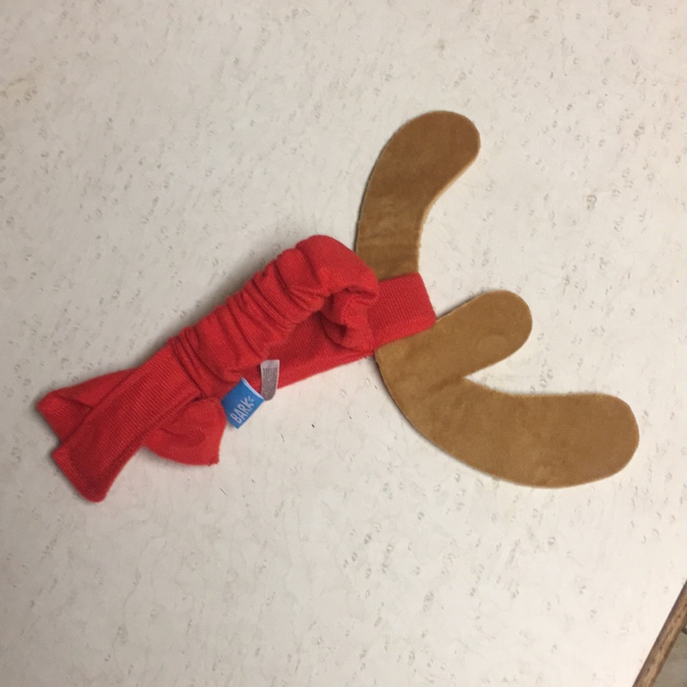 BarkBox Dog Headband